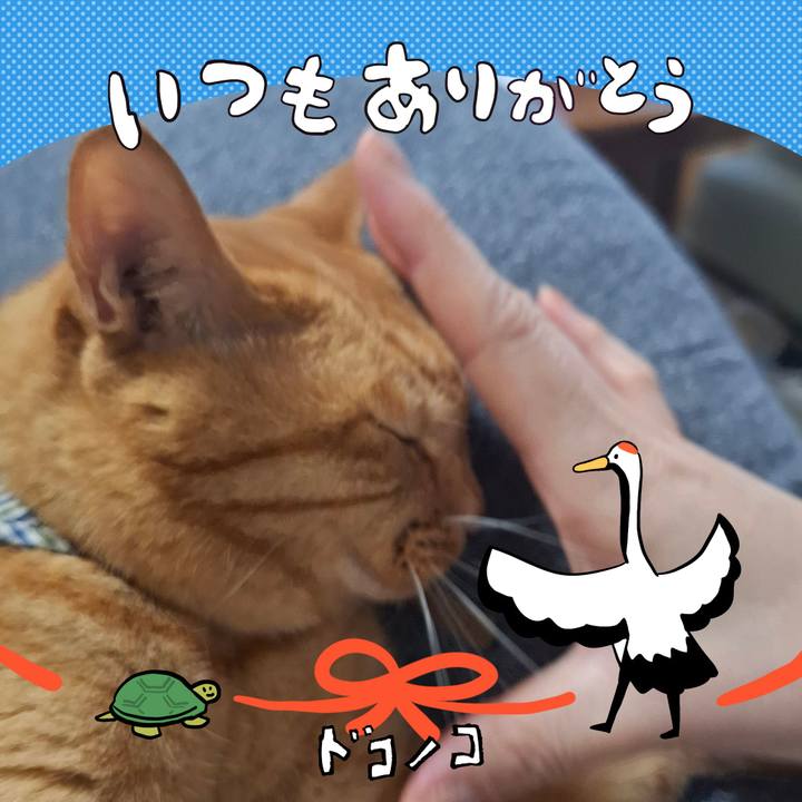 69a2a6e5 be4c 4346 bf1b be649c27ba07 1726964654955