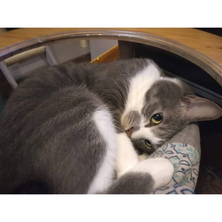 69a2b095 09f2 45e5 a4c4 3eb241ee2c3e 1663069648353