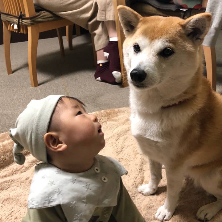 69a2b951 94fd 425a 9f7f 8d8b9bf5f822 1641862353204