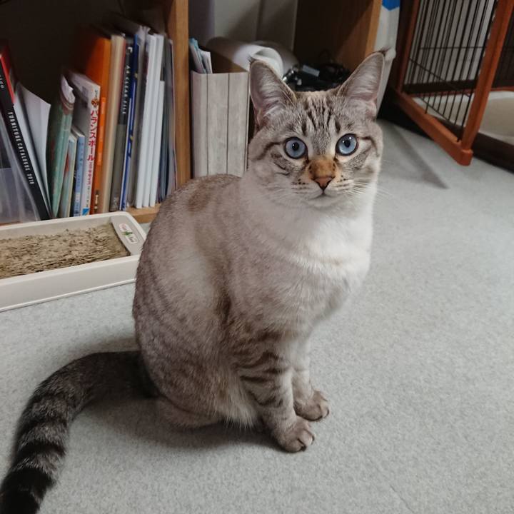 69a2bb9a 0ee0 49a8 bdf4 1fd8ee57478c 1545548793198