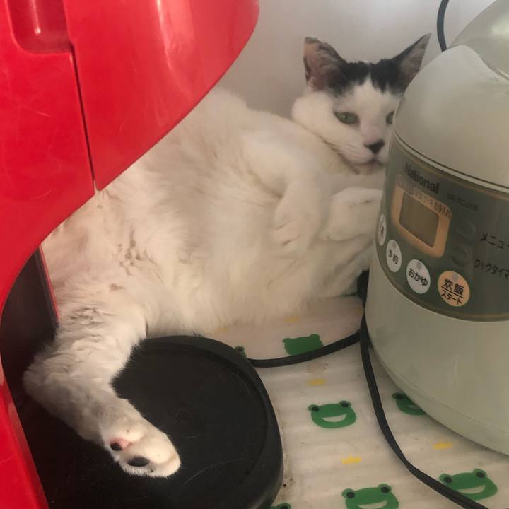 69a2bd4a 6de9 4bfb 9484 72fcaf9f82db 1587788987429