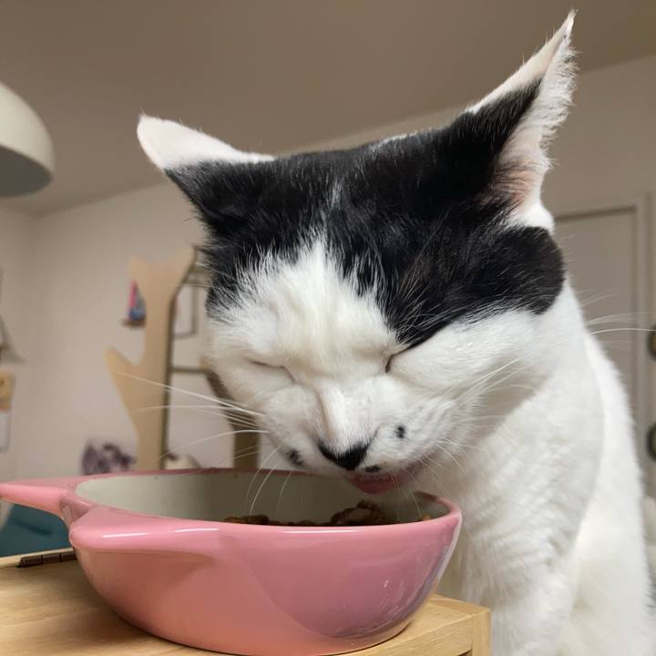 69a2dede bece 4018 a3b7 b71273e25863 1775076445890