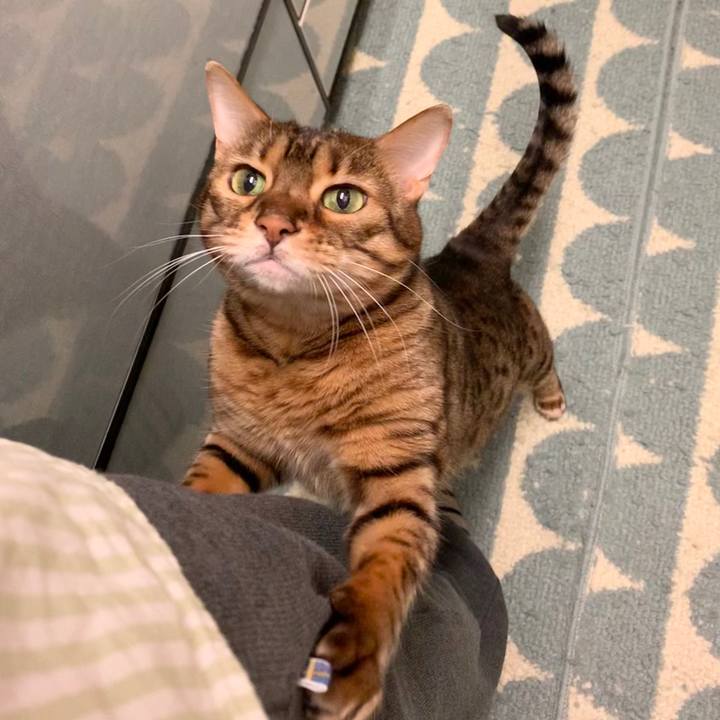 69a33b73 8c47 4861 b6f5 06a30997cb3f 1584229170265