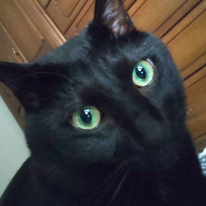 69a3d06e 37e3 4ad8 a91e b3286f5f407e 1596244503365