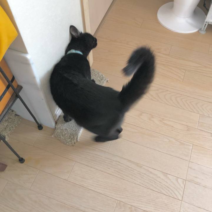 69a3d2ee ef1d 4eda b174 4fa436bc1149 1627814726745