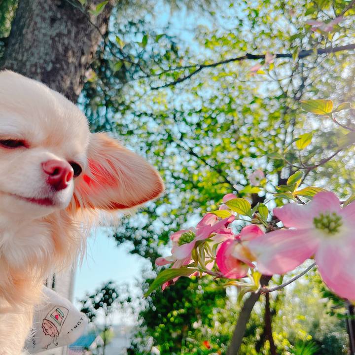 69a3f19a 586a 4229 b527 0e9154d27d9a 1649765856169