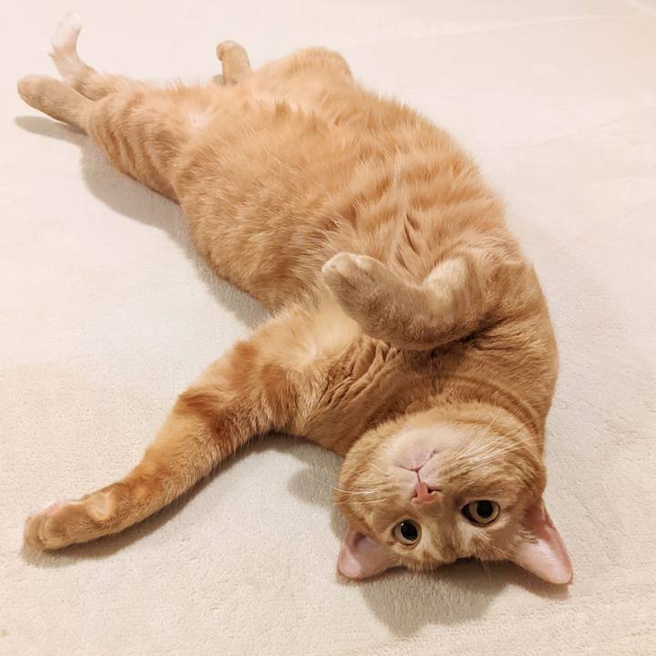 69a3f716 4fe4 4cd6 9481 6f3dd124ee90 1659180076746