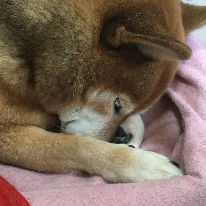 69a410d9 a39f 45a4 860f f0892545890e 1603622637540