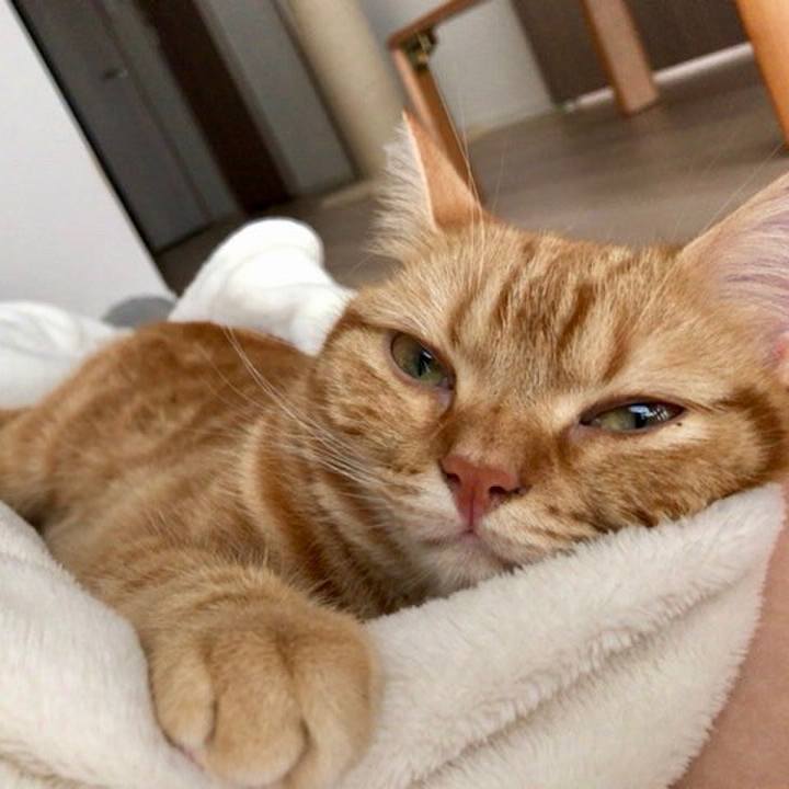 69a41f86 9958 4b4e b021 3adbb6e12ab1 1533509880581