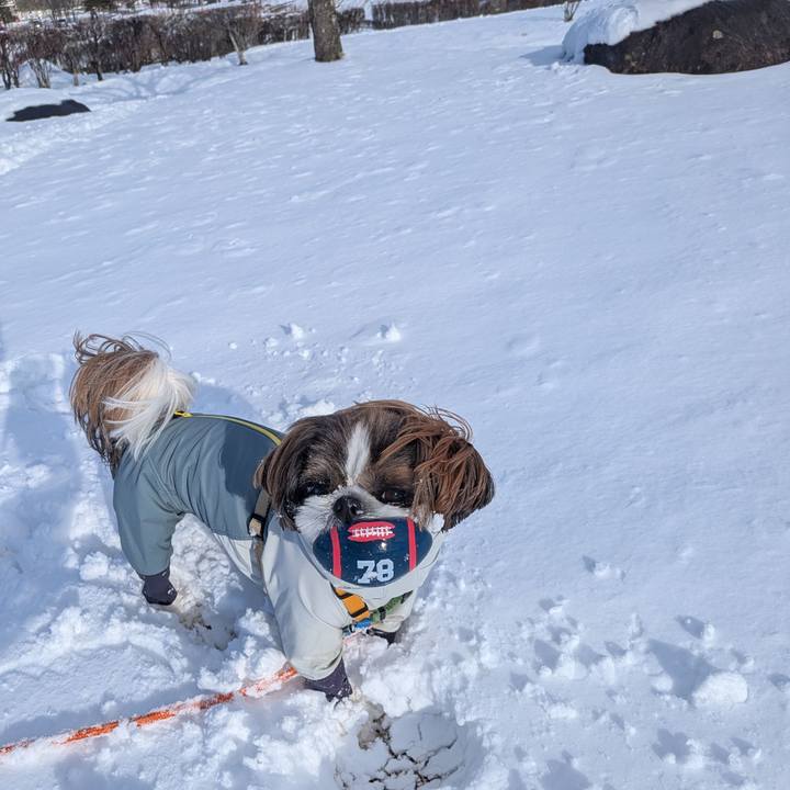 69a44ad8 a2ee 464e aef7 e852e342163b 1768205402785