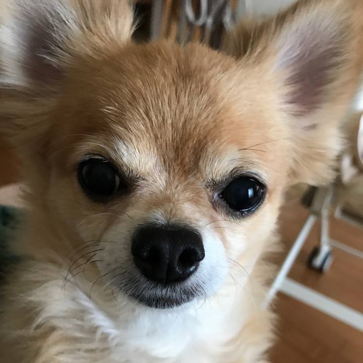 69a45834 728b 47d8 ac6e 6de8c9e04249 1510018651527