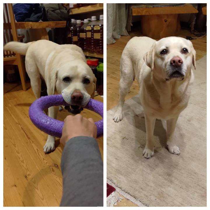 69a45b6c 9479 4dc6 bfb6 cebc4112143d 1683052843270