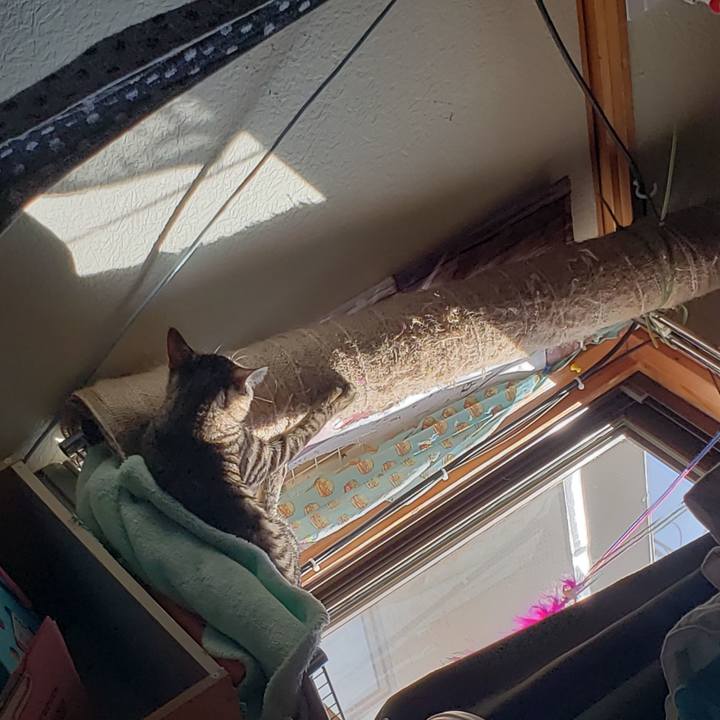 69a4eae6 2955 41d7 acd0 7c5849b7d00e 1542327708935