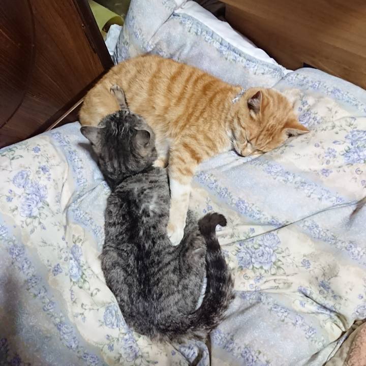 69a4ecff 580f 4e6c aa47 2a5345774eee 1587818691972