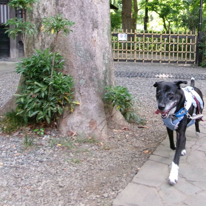 69a4eef6 36d5 4fb3 ba7d bec57868f4a7 1754526601661