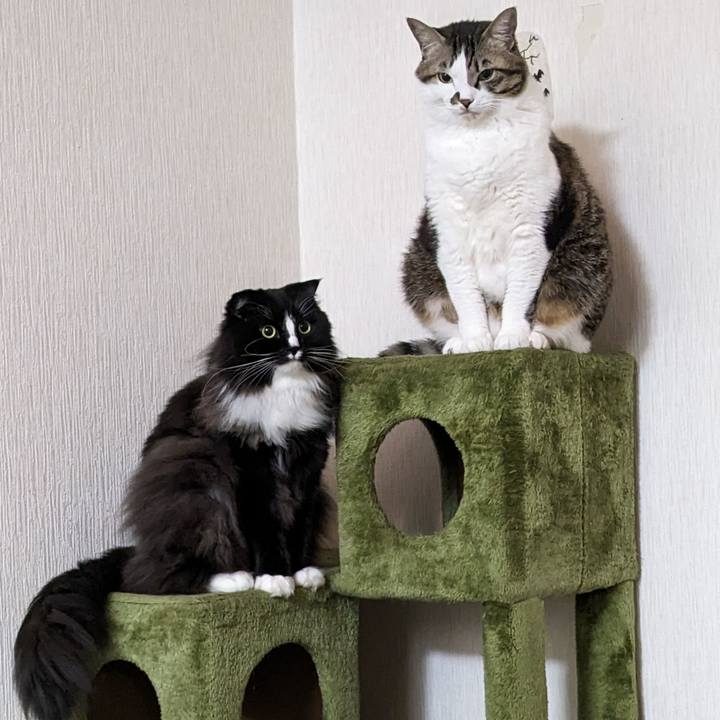 69a52321 6002 4211 aac1 44e0bdabfcc9 1703453260662