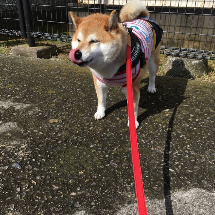 69a53422 a694 46a0 bda9 0e394590ee1b 1591918553949