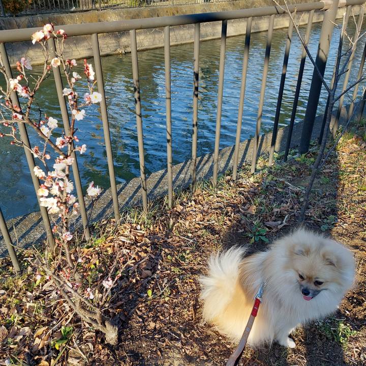 69a58e2f 6d18 4fba 8dc7 187474420ede 1643865359960