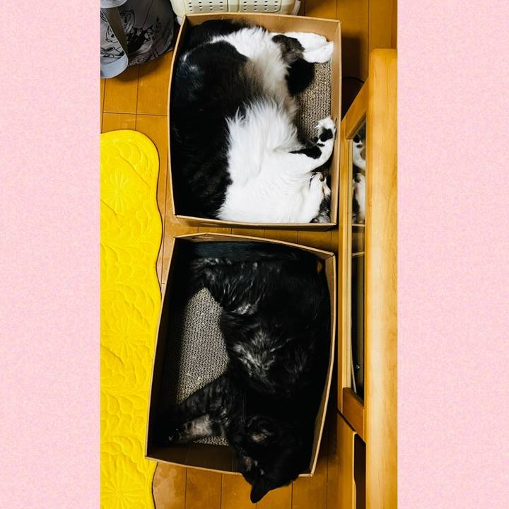 69a59b11 4eb6 40d4 b63d 8cd7e7e2f0cb 1747364628337