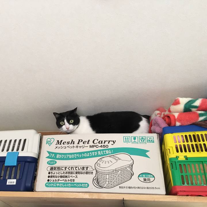 69a5a4bf 12bf 4988 8e45 d2a92083335e 1591316429765