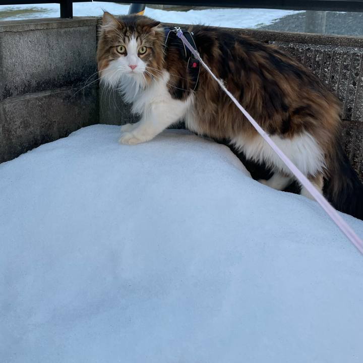 69a5c504 54f5 472d 87b3 751831025113 1705736530744