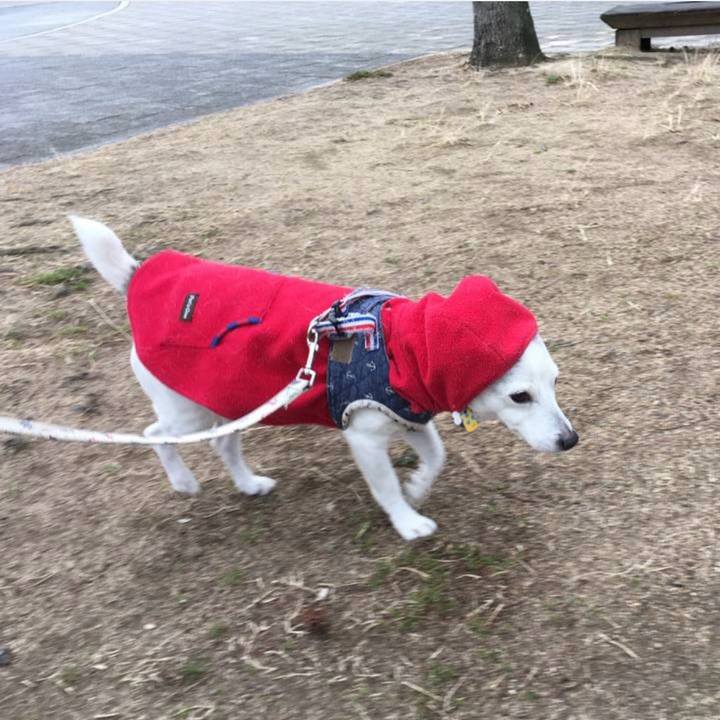 69a61aba 3ec2 4c8a a52e cf38b5bd844a 1768951549341