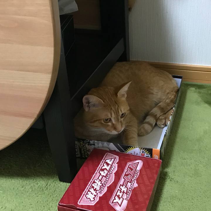 69a63626 fe06 4aec 88f1 65ac730a0087 1513210749801