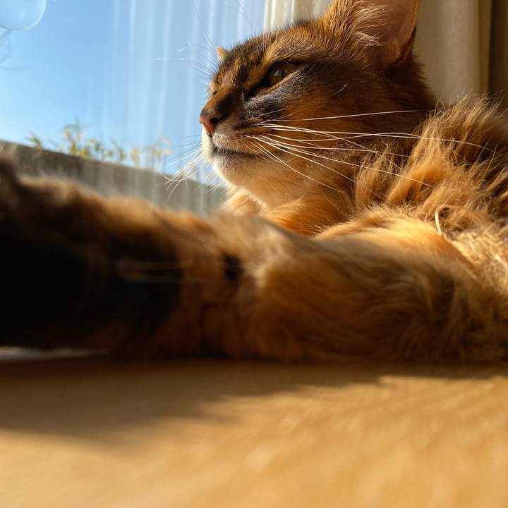 69a64032 c353 4dc3 aa25 deef99d86460 1673505983380