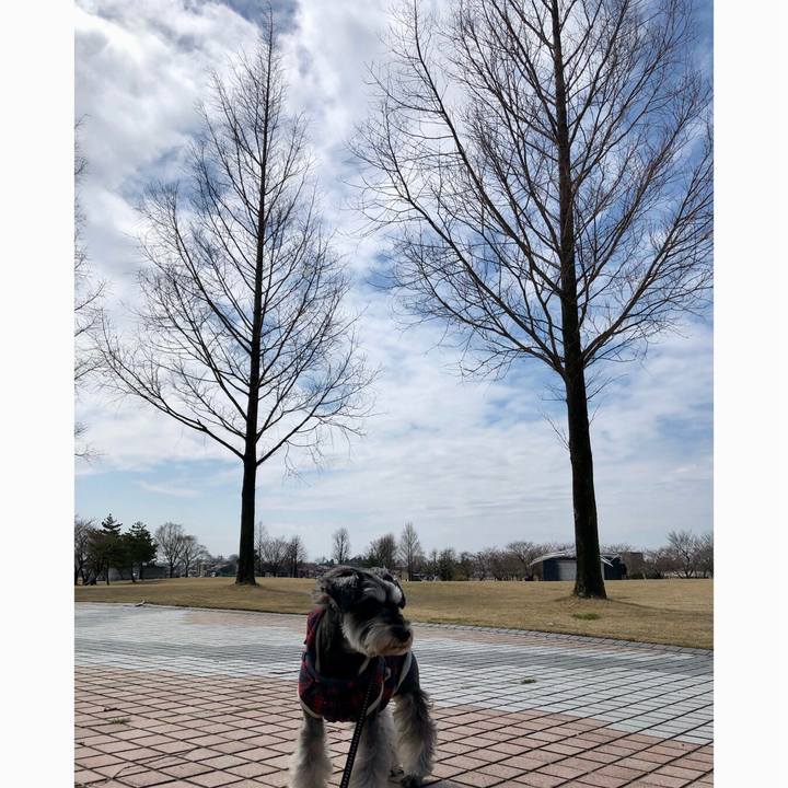 69a65ed3 3c94 41e6 91f0 402b0f71d8a1 1648963029213