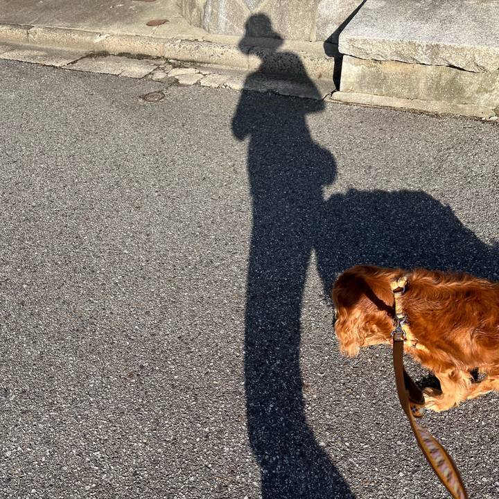 69a6749c d1a2 431d 9ea9 4c6acfa70831 1760656105477