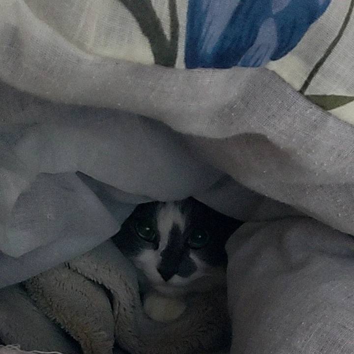 69a6ddad bbf4 4f06 8407 60195224ba80 1705624586587