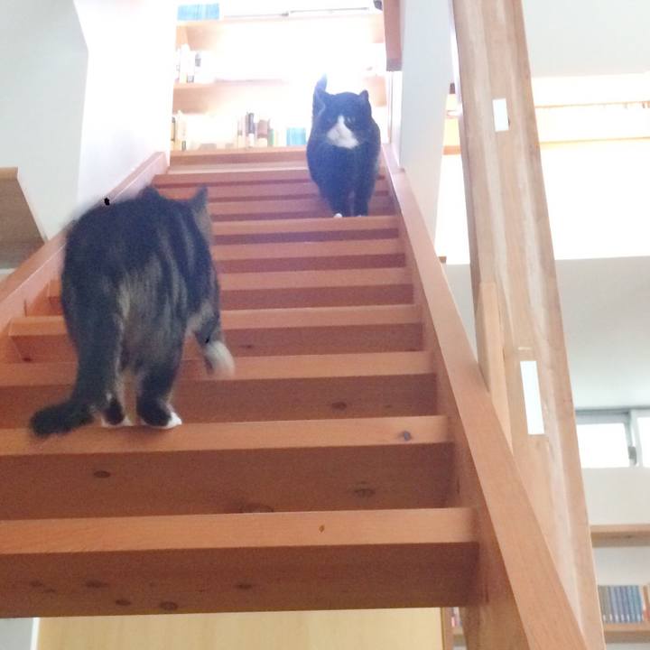 69a6e6a9 c0c5 4a25 8f80 d56b17844d15 1511310140272