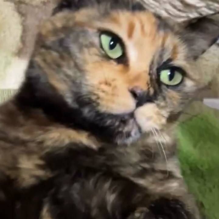 69a6f8ab df99 4a02 9539 a9fa150c946c 1743539884850