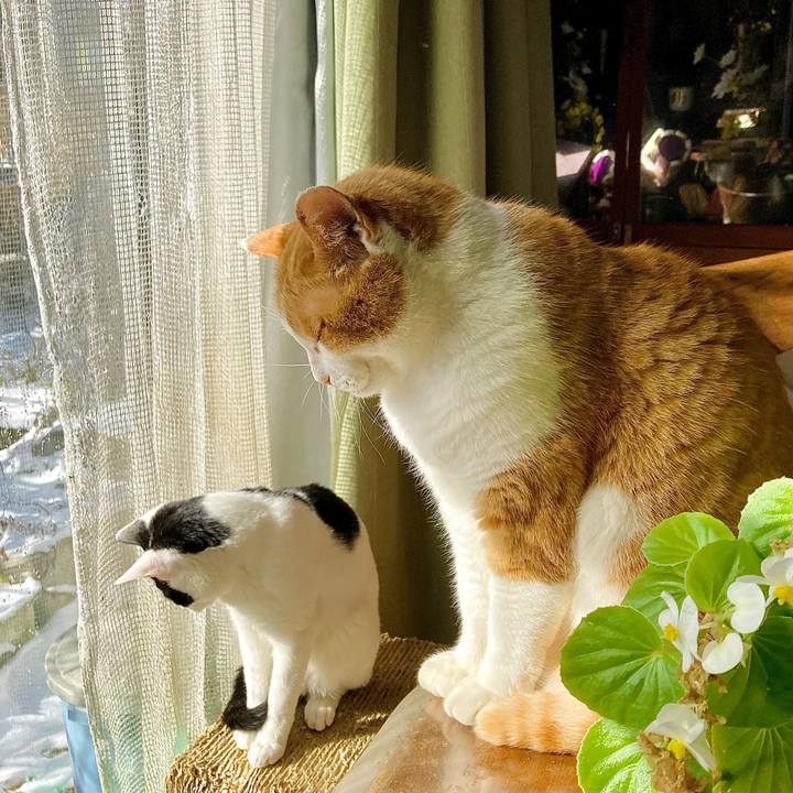 69a6fbd8 6b4b 4929 bd64 82aa8ffcd20a 1645743311779