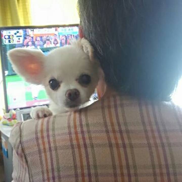 69a742af 3591 4d83 b11c badc27b374f5 1556789181887