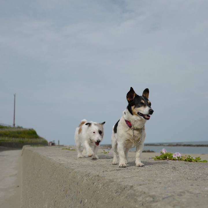 69a74785 4525 4d3b aa12 db93bff30b8d 1528603919403