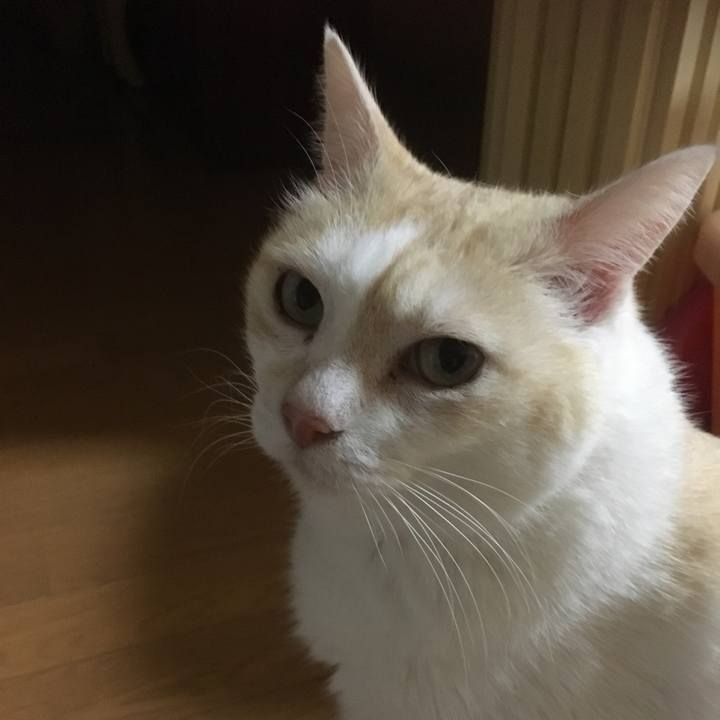 69a789b6 6716 4351 96b3 f2bec5cf569a 1516455305759