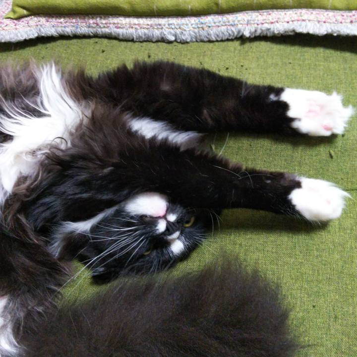 69a7aef0 91c2 4d67 9ef1 d481368cc215 1651571203141