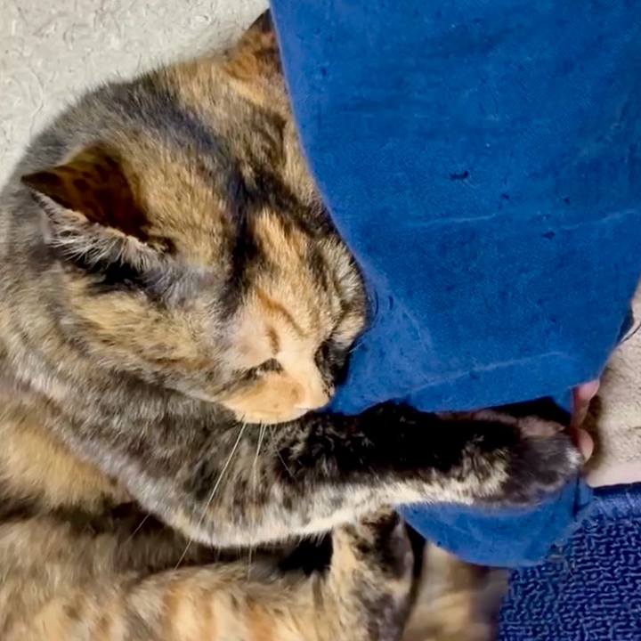 69a7cefb 040e 452a 88a9 b17782d8fd7f 1764411870609