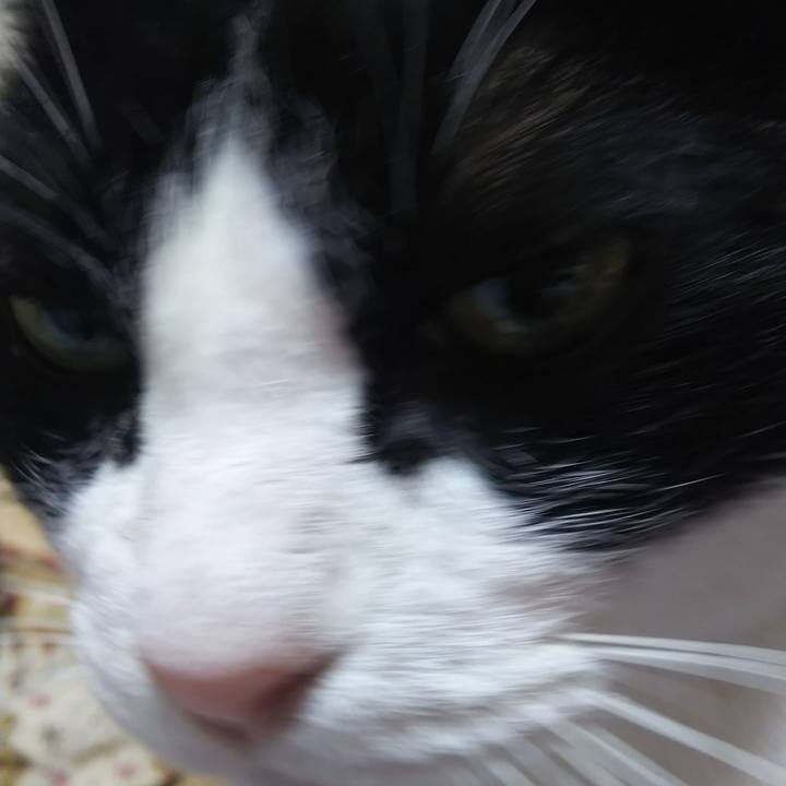 69a7d61e 57ce 4dac 8692 23d30bbb7d6b 1575582778011