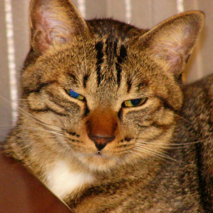 69a80882 d691 4b15 baac 809478f88e65 1554468677239