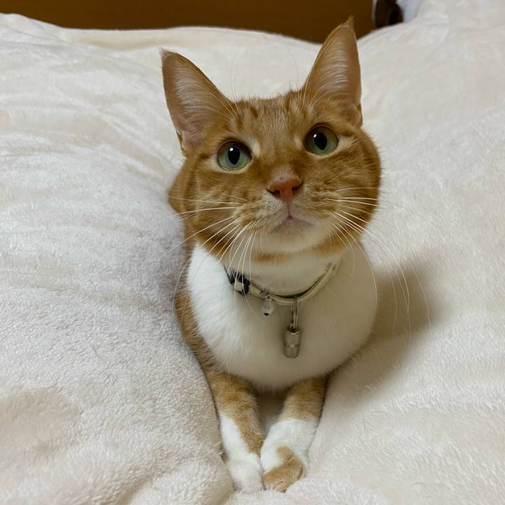 69a8160f 813d 4e01 bb48 8b3447f114fc 1672448525409