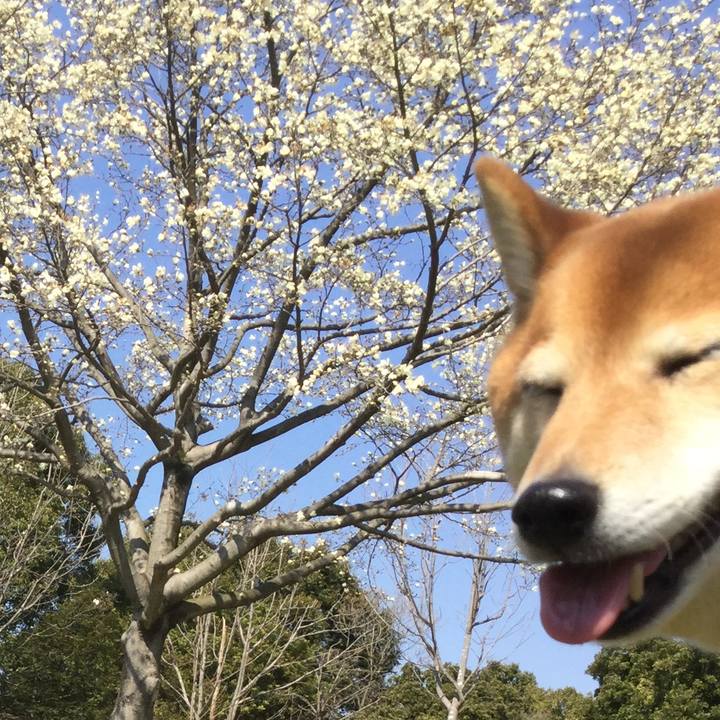 69a82372 9f51 481f 82ea 748f67b6cef5 1552631106314