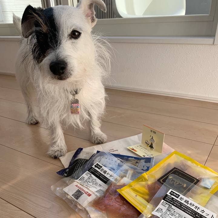 69a83a45 b8ee 416a 92fb bdeebaa50c96 1668827782829