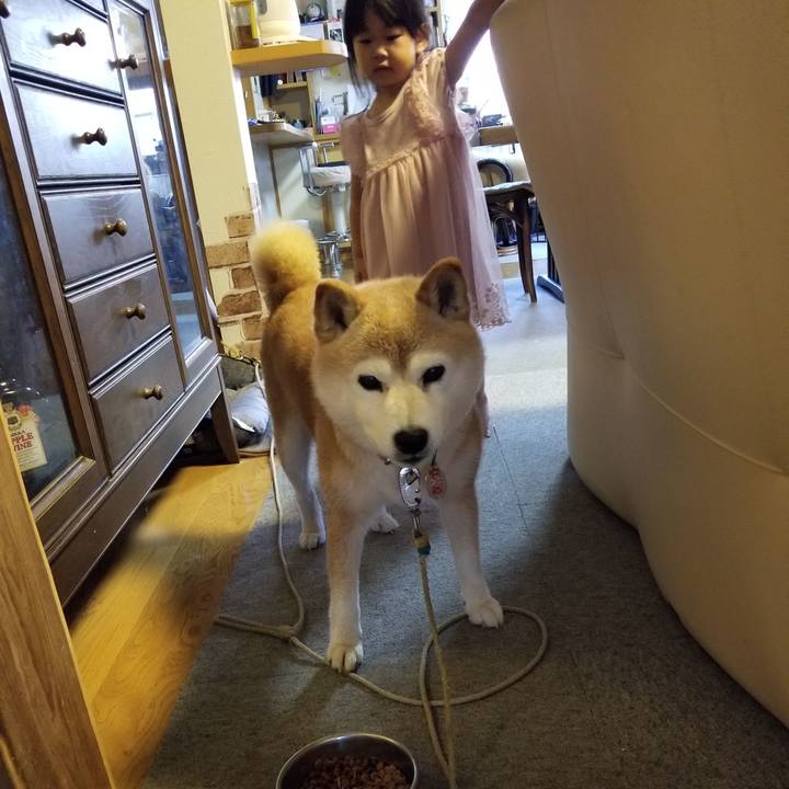 69a83ffc 433c 45c5 b2ff 0460e8e08cd2 1690015880171