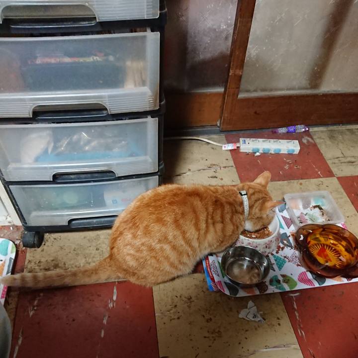 69a854f8 dc09 48c9 8472 cdfdb6293df3 1589401673176