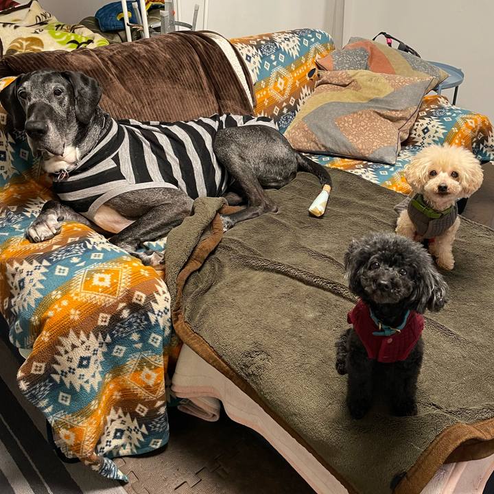 69a86312 9f77 4ebd 866b c475060b8275 1641854729245