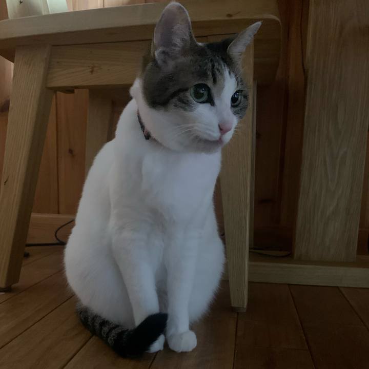 69a87aab 942d 4ff0 a9a3 ea3fb66f0d84 1583328138919