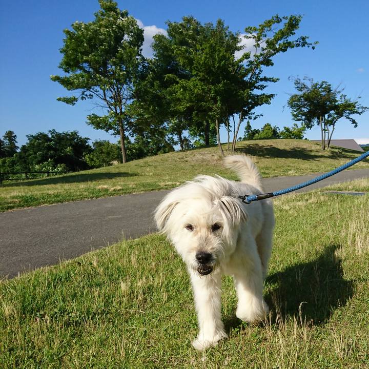 69a8a511 3963 4661 8f2e 9161bb2b5881 1634449085179