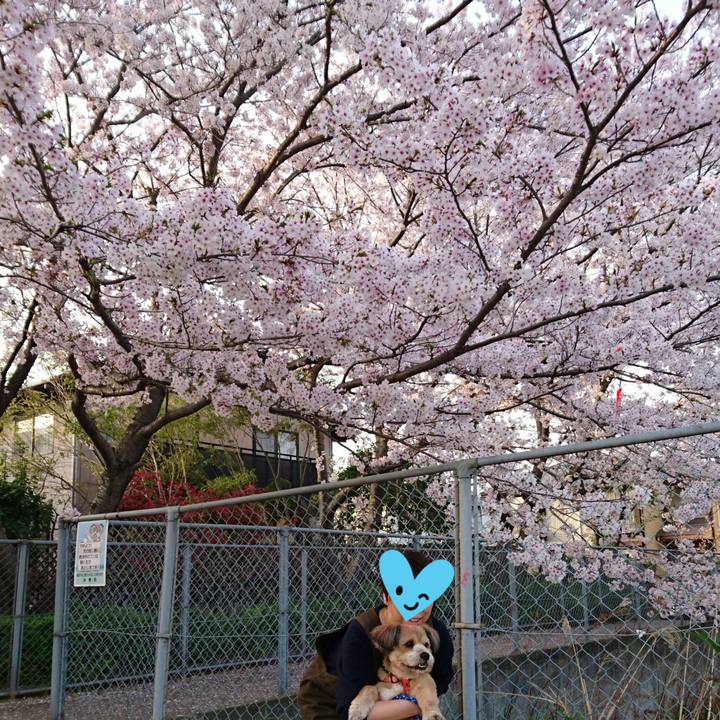 69a8af34 5a9c 4da1 90f0 dae7aac403f1 1522499686979